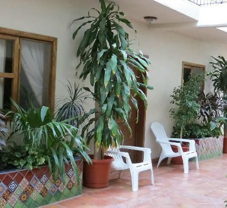 Hotel Cabo Cush Cabo San Lucas Zewnętrze zdjęcie