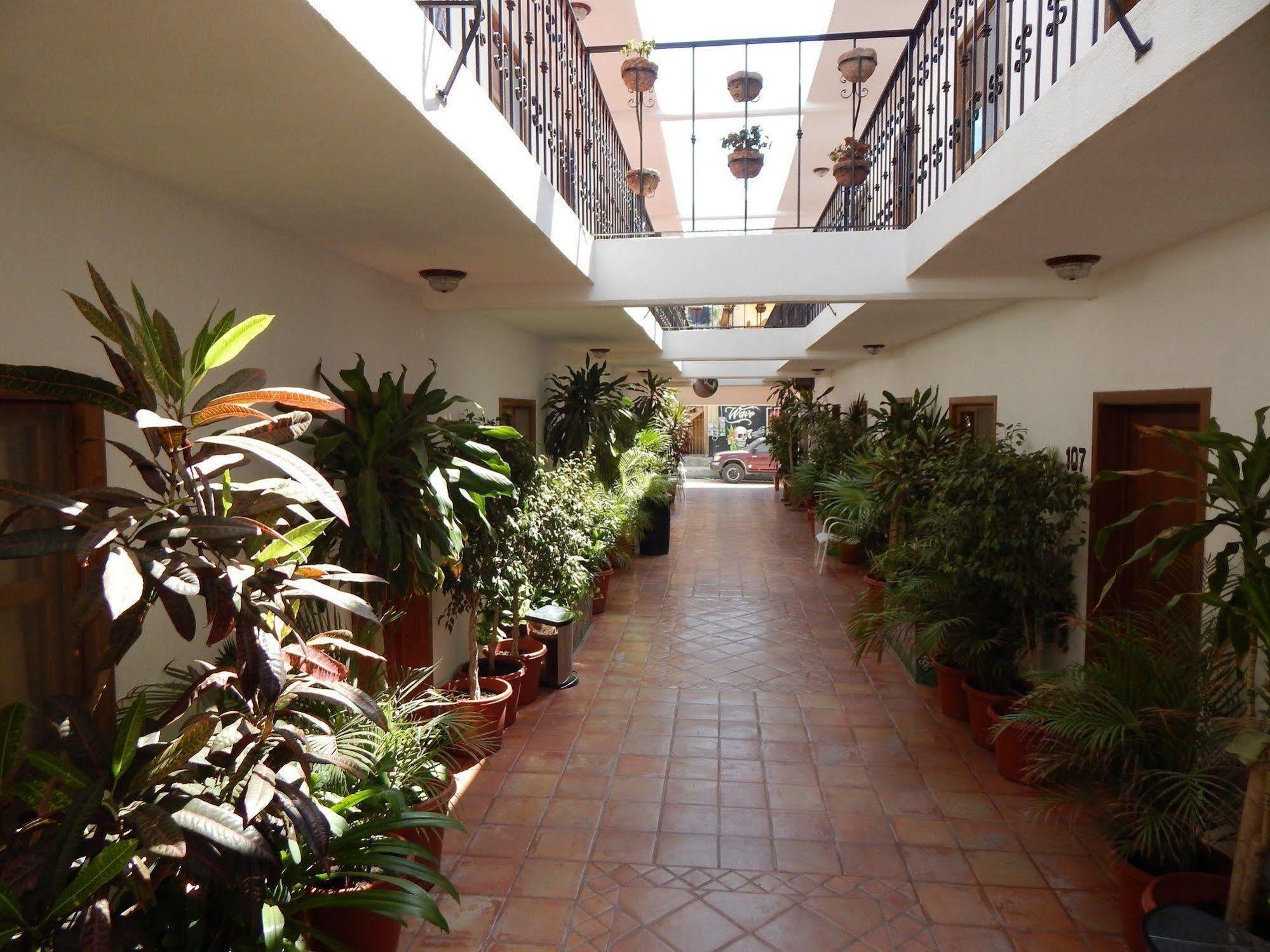 Hotel Cabo Cush Cabo San Lucas Zewnętrze zdjęcie